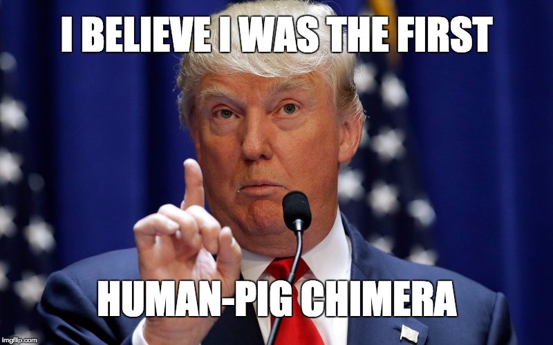 Donald Trump | I BELIEVE I WAS THE FIRST; HUMAN-PIG CHIMERA | image tagged in donald trump | made w/ Imgflip meme maker