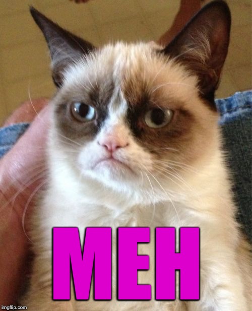 Grumpy Cat Meme | MEH | image tagged in memes,grumpy cat | made w/ Imgflip meme maker