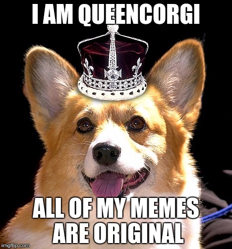 The Meme Below is NOT Sarcastic | I AM QUEENCORGI; ALL OF MY MEMES ARE ORIGINAL | image tagged in google images | made w/ Imgflip meme maker
