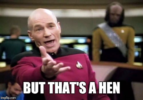 Picard Wtf Meme | BUT THAT'S A HEN | image tagged in memes,picard wtf | made w/ Imgflip meme maker