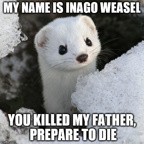It was running around my house, I had no choice | MY NAME IS INAGO WEASEL; YOU KILLED MY FATHER, PREPARE TO DIE | image tagged in grump weasel | made w/ Imgflip meme maker