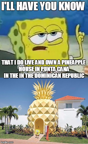 I'LL HAVE YOU KNOW; THAT I DO LIVE AND OWN A PINEAPPLE HOUSE IN PUNTA CANA IN THE IN THE DOMINICAN REPUBLIC | image tagged in spongebob,ill have you know spongebob | made w/ Imgflip meme maker