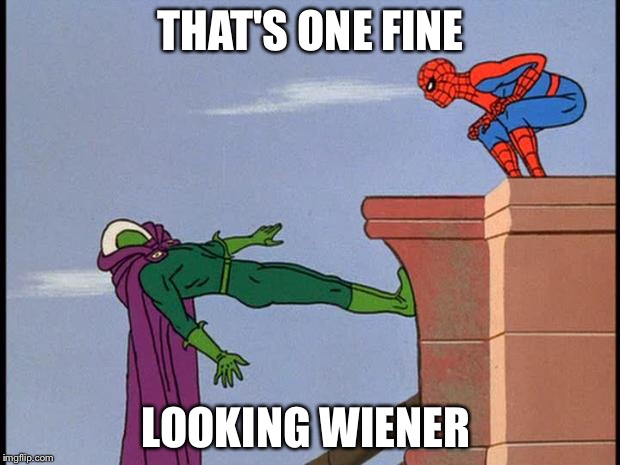 Spider-Man Vs. Mysterio | THAT'S ONE FINE; LOOKING WIENER | image tagged in spider-man vs mysterio | made w/ Imgflip meme maker