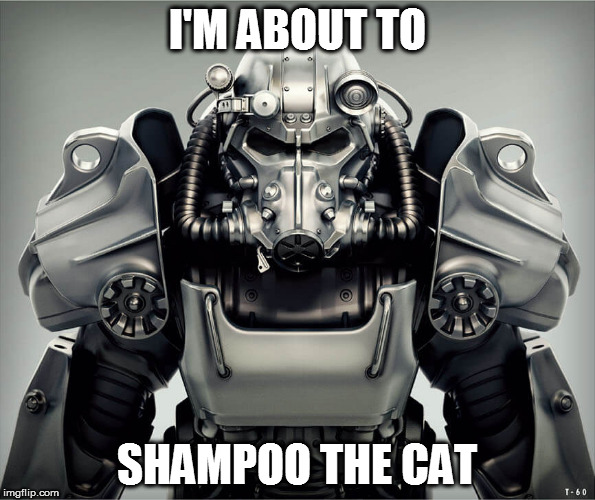 I'll need a medic on standby | I'M ABOUT TO; SHAMPOO THE CAT | image tagged in fallout armour,memes,cat,ferocious,hold my beer,injury | made w/ Imgflip meme maker