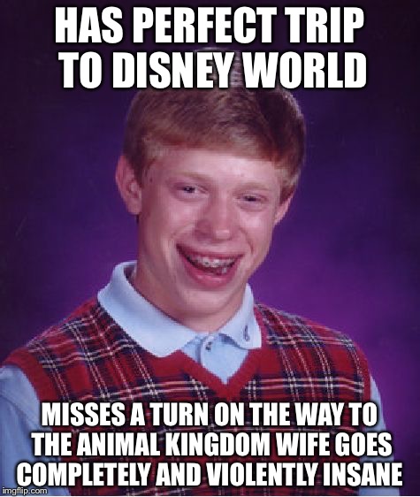 Bad Luck Brian Meme | HAS PERFECT TRIP TO DISNEY WORLD MISSES A TURN ON THE WAY TO THE ANIMAL KINGDOM WIFE GOES COMPLETELY AND VIOLENTLY INSANE | image tagged in memes,bad luck brian | made w/ Imgflip meme maker