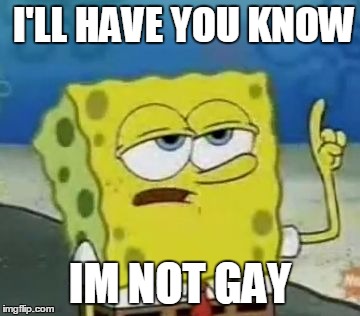 I'll Have You Know Spongebob | I'LL HAVE YOU KNOW; IM NOT GAY | image tagged in memes,ill have you know spongebob | made w/ Imgflip meme maker