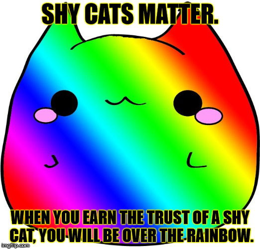 Rainbow Cat | SHY CATS MATTER. WHEN YOU EARN THE TRUST OF A SHY CAT, YOU WILL BE OVER THE RAINBOW. | image tagged in rainbow cat | made w/ Imgflip meme maker