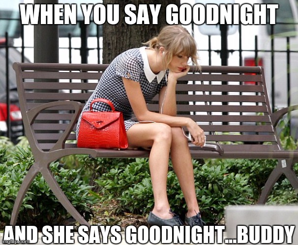 Now Entering The Friend Zone  | WHEN YOU SAY GOODNIGHT; AND SHE SAYS GOODNIGHT...BUDDY | image tagged in friendzone,taylor swift,relatable | made w/ Imgflip meme maker