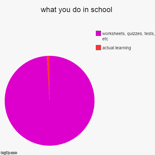 image tagged in funny,pie charts | made w/ Imgflip chart maker