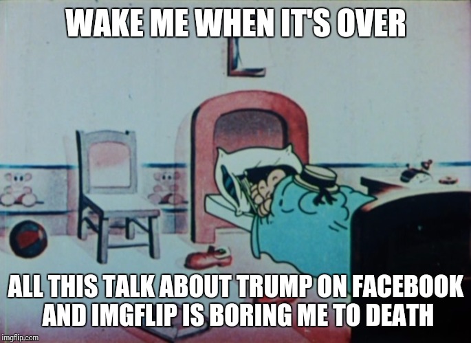 Taking a break from all this political nonsense | WAKE ME WHEN IT'S OVER; ALL THIS TALK ABOUT TRUMP ON FACEBOOK AND IMGFLIP IS BORING ME TO DEATH | image tagged in memes | made w/ Imgflip meme maker