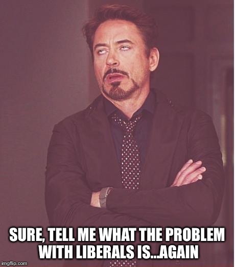 Face You Make Robert Downey Jr | SURE, TELL ME WHAT THE PROBLEM WITH LIBERALS IS...AGAIN | image tagged in memes,face you make robert downey jr | made w/ Imgflip meme maker