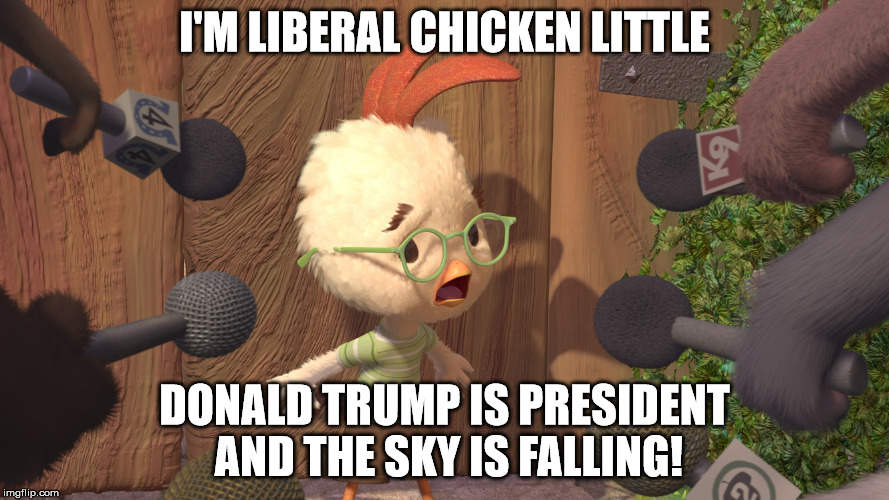 Chicken Little | I'M LIBERAL CHICKEN LITTLE; DONALD TRUMP IS PRESIDENT AND THE SKY IS FALLING! | image tagged in chicken little | made w/ Imgflip meme maker