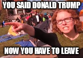 please don't hurt me :( | YOU SAID DONALD TRUMP; NOW YOU HAVE TO LEAVE | image tagged in sjw,a joke,please don't get triggered,i hate saying the word triggered,lol i'm just saying random crap in the tags | made w/ Imgflip meme maker