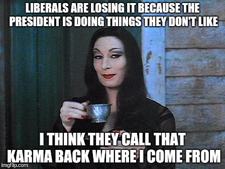 BETTER THAN KARMA | LIBERALS ARE LOSING IT BECAUSE THE PRESIDENT IS DOING THINGS THEY DON'T LIKE; I THINK THEY CALL THAT KARMA BACK WHERE I COME FROM | image tagged in better than karma | made w/ Imgflip meme maker