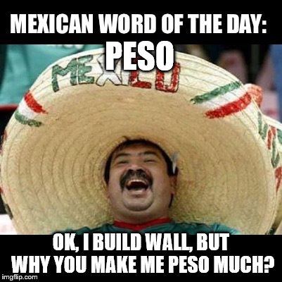 Peso much | PESO; OK, I BUILD WALL, BUT WHY YOU MAKE ME PESO MUCH? | image tagged in mexican word of the day large,peso | made w/ Imgflip meme maker