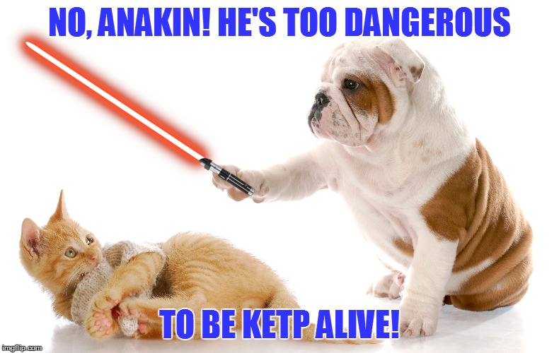 A Little Reenactment | NO, ANAKIN! HE'S TOO DANGEROUS; TO BE KETP ALIVE! | image tagged in memes,dogs,cats,star wars | made w/ Imgflip meme maker