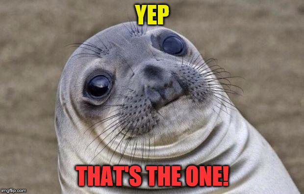 Awkward Moment Sealion Meme | YEP THAT'S THE ONE! | image tagged in memes,awkward moment sealion | made w/ Imgflip meme maker