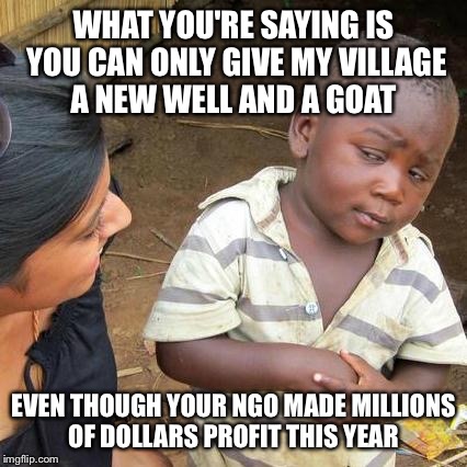 Third World Skeptical Kid | WHAT YOU'RE SAYING IS YOU CAN ONLY GIVE MY VILLAGE A NEW WELL AND A GOAT; EVEN THOUGH YOUR NGO MADE MILLIONS OF DOLLARS PROFIT THIS YEAR | image tagged in memes,third world skeptical kid | made w/ Imgflip meme maker