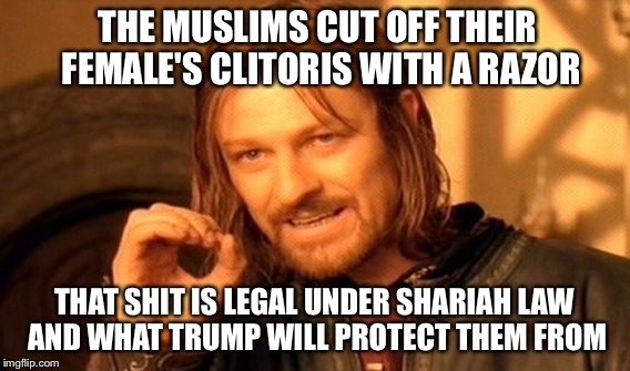 One Does Not Simply Meme | THE MUSLIMS CUT OFF THEIR FEMALE'S CLITORIS WITH A RAZOR THAT SHIT IS LEGAL UNDER SHARIAH LAW AND WHAT TRUMP WILL PROTECT THEM FROM | image tagged in memes,one does not simply | made w/ Imgflip meme maker