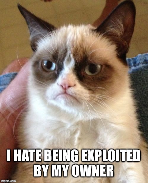 Grumpy Cat | I HATE BEING EXPLOITED BY MY OWNER | image tagged in memes,grumpy cat | made w/ Imgflip meme maker