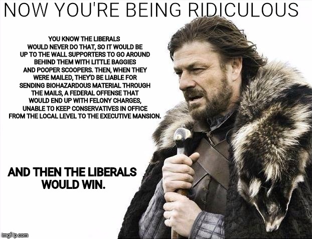 Brace Yourselves X is Coming Meme | NOW YOU'RE BEING RIDICULOUS AND THEN THE LIBERALS WOULD WIN. YOU KNOW THE LIBERALS WOULD NEVER DO THAT, SO IT WOULD BE UP TO THE WALL SUPPOR | image tagged in memes,brace yourselves x is coming | made w/ Imgflip meme maker