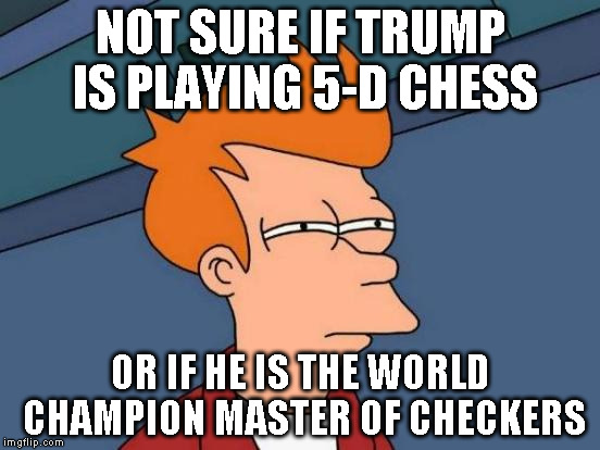 Futurama Fry Meme | NOT SURE IF TRUMP IS PLAYING 5-D CHESS; OR IF HE IS THE WORLD CHAMPION MASTER OF CHECKERS | image tagged in memes,futurama fry | made w/ Imgflip meme maker