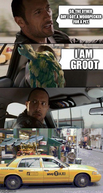 Groot taxi Ride  | SO, THE OTHER DAY I GOT A WOODPECKER FOR A PET. I AM GROOT | image tagged in rock taxi get out,groot,memes | made w/ Imgflip meme maker