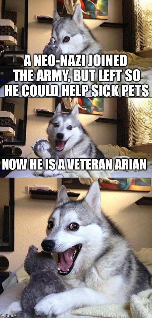 Yay, nazi humor! | A NEO-NAZI JOINED THE ARMY, BUT LEFT SO HE COULD HELP SICK PETS; NOW HE IS A VETERAN ARIAN | image tagged in memes,bad pun dog,nazi,army,veterinarian | made w/ Imgflip meme maker