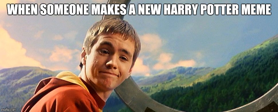 Harry Potter Wood | WHEN SOMEONE MAKES A NEW HARRY POTTER MEME | image tagged in harry potter wood | made w/ Imgflip meme maker
