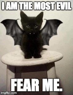 kitty vampire | I AM THE MOST EVIL; FEAR ME. | image tagged in kitty vampire | made w/ Imgflip meme maker