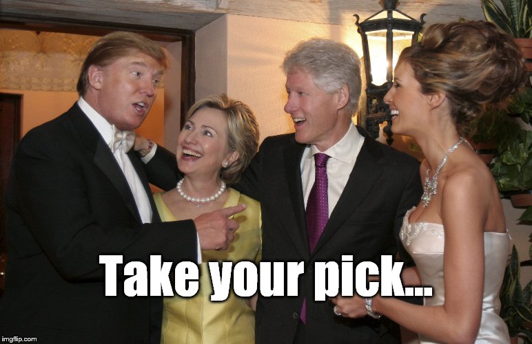 Hillary at La Donald's latest wedding | Take your pick... | image tagged in hillary at la donald's latest wedding | made w/ Imgflip meme maker