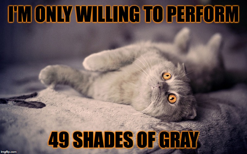 Guess what the one is, that I won't do... |  I'M ONLY WILLING TO PERFORM; 49 SHADES OF GRAY | image tagged in shades of gray,cat | made w/ Imgflip meme maker