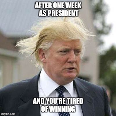 Tired of winning  | AFTER ONE WEEK AS PRESIDENT; AND YOU'RE TIRED OF WINNING | image tagged in donald trump | made w/ Imgflip meme maker
