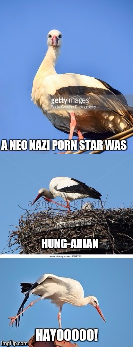  Bad Pun Stork | A NEO NAZI PORN STAR WAS HUNG-ARIAN | image tagged in bad pun stork | made w/ Imgflip meme maker