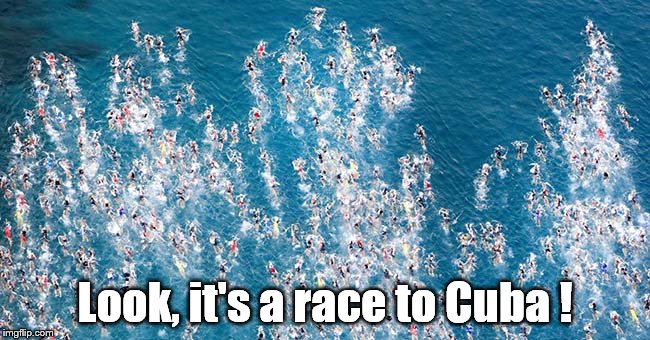 Swimmers in flight | Look, it's a race to Cuba ! | image tagged in swimmers in flight | made w/ Imgflip meme maker