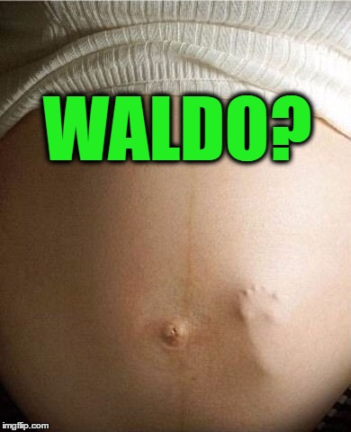 WALDO? | made w/ Imgflip meme maker