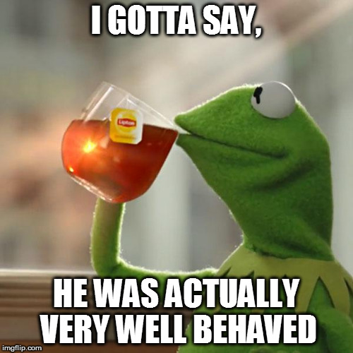 But That's None Of My Business Meme | I GOTTA SAY, HE WAS ACTUALLY VERY WELL BEHAVED | image tagged in memes,but thats none of my business,kermit the frog | made w/ Imgflip meme maker