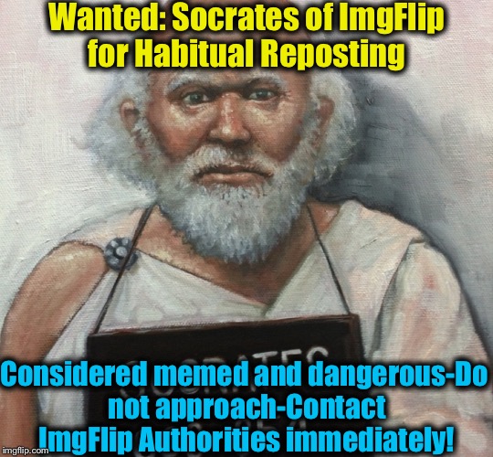 REWARD:  2 Nights of Dinner and Dancing with DashHopes in his World Famous Canadian Tights! | Wanted: Socrates of ImgFlip for Habitual Reposting; Considered memed and dangerous-Do not approach-Contact ImgFlip Authorities immediately! | image tagged in socrates of imgflip,memes,evilmandoevil,dashhopes,socrates,funny | made w/ Imgflip meme maker