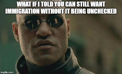 Matrix Morpheus Meme | WHAT IF I TOLD YOU CAN STILL WANT IMMIGRATION WITHOUT IT BEING UNCHECKED | image tagged in memes,matrix morpheus | made w/ Imgflip meme maker