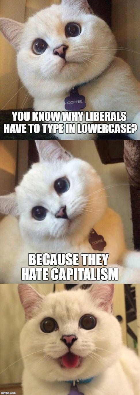 bad pun cat  | YOU KNOW WHY LIBERALS HAVE TO TYPE IN LOWERCASE? BECAUSE THEY HATE CAPITALISM | image tagged in bad pun cat | made w/ Imgflip meme maker