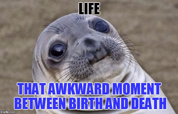 Awkward Moment Sealion Meme | LIFE THAT AWKWARD MOMENT BETWEEN BIRTH AND DEATH | image tagged in memes,awkward moment sealion | made w/ Imgflip meme maker