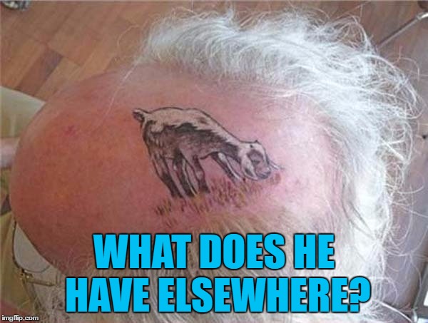 Tattoo week runs until 1st Feb. Search and share the best (and worst) :) | WHAT DOES HE HAVE ELSEWHERE? | image tagged in memes,tattoo week,tattoos,animals,goats | made w/ Imgflip meme maker