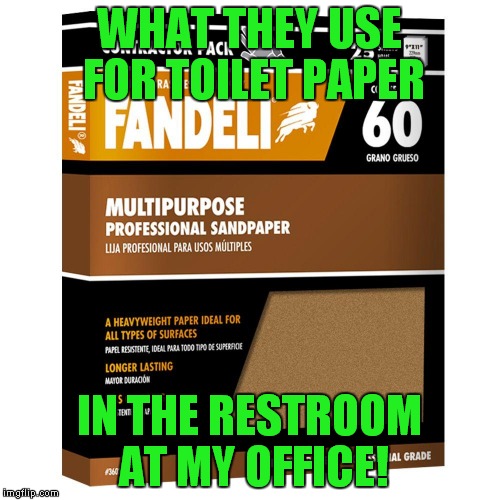 Buying the cheapest stuff out there! | WHAT THEY USE FOR TOILET PAPER; IN THE RESTROOM AT MY OFFICE! | image tagged in sandpaper,toilet paper | made w/ Imgflip meme maker