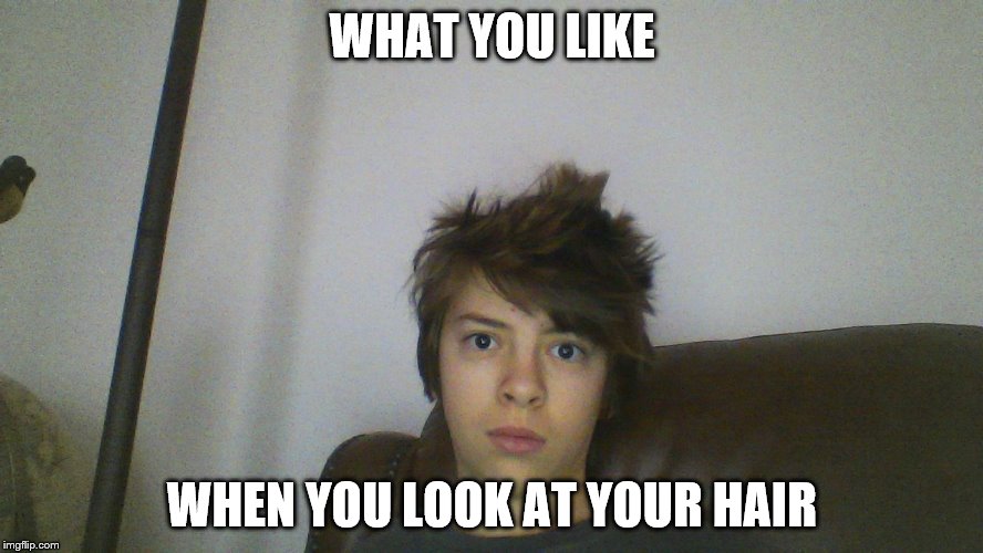 WHAT YOU LIKE; WHEN YOU LOOK AT YOUR HAIR | image tagged in bed head | made w/ Imgflip meme maker