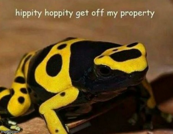image tagged in hippity hoppity | made w/ Imgflip meme maker