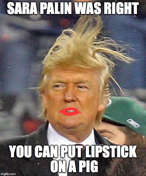 Donald Trumph hair | SARA PALIN WAS RIGHT; YOU CAN PUT LIPSTICK ON A PIG | image tagged in donald trumph hair | made w/ Imgflip meme maker
