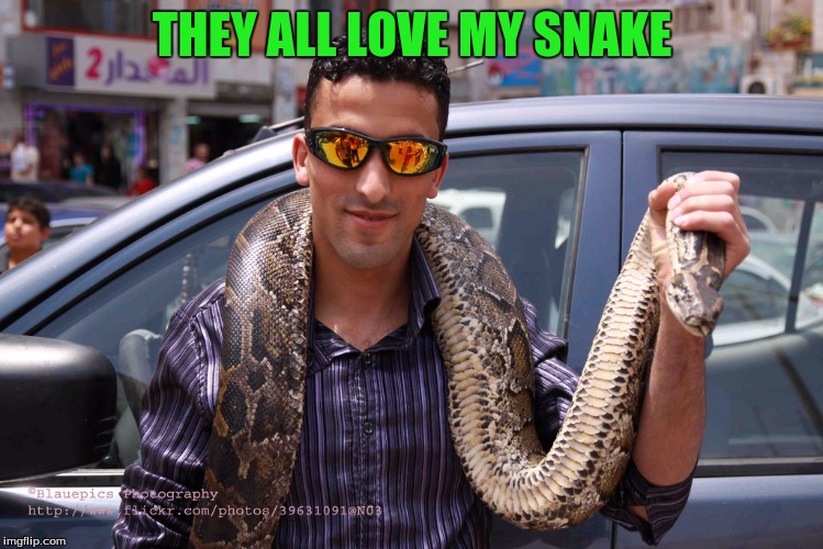 THEY ALL LOVE MY SNAKE | made w/ Imgflip meme maker