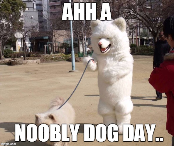 white dog | AHH A; NOOBLY DOG DAY.. | image tagged in white dog | made w/ Imgflip meme maker