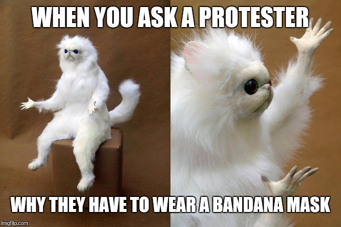 Because they're terrorists | WHEN YOU ASK A PROTESTER; WHY THEY HAVE TO WEAR A BANDANA MASK | image tagged in memes,persian cat room guardian | made w/ Imgflip meme maker
