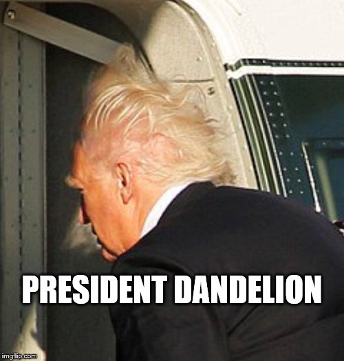 PRESIDENT
DANDELION | image tagged in trump heliocopter | made w/ Imgflip meme maker